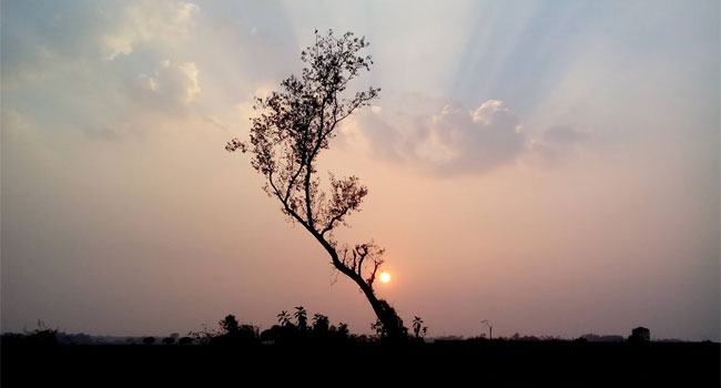 পাখির নরম পালকের মতো