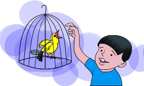 হলুদিয়া পাখি