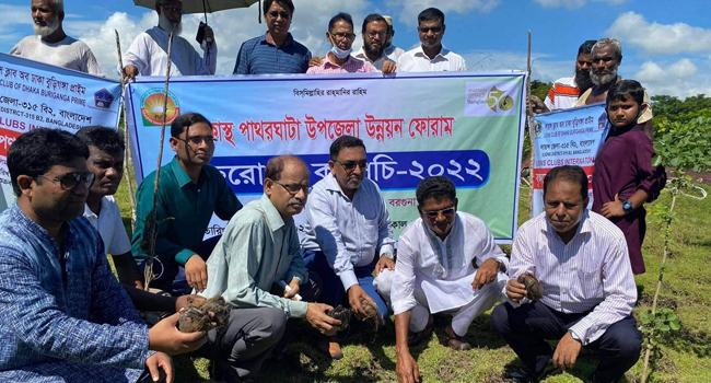 বজ্রপাত ঠেকাতে ১০ হাজার তালের বীজ রোপণ
