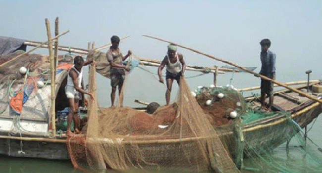 তালতলীতে বরাদ্দের চাল দ্রুত চায় জেলেরা
