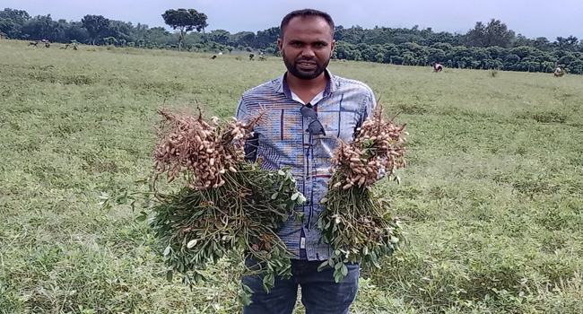 জীবননগরে বাদাম চাষে কৃষকের মুখে হাসি