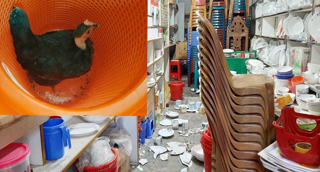 ক্রোকারিজ দোকানে রাতভর মুরগির ‘তাণ্ডব’ : বিচারের মুখোমুখি মালিক