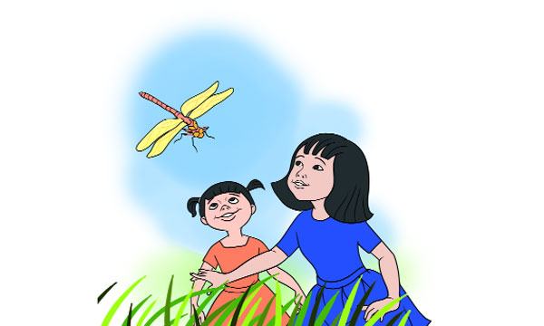 ফড়িং
