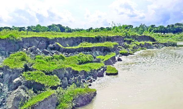 ফেনী নদীতে বিলীন চর তুলাতুলি ভাঙছে ৩ ফসলি জমি