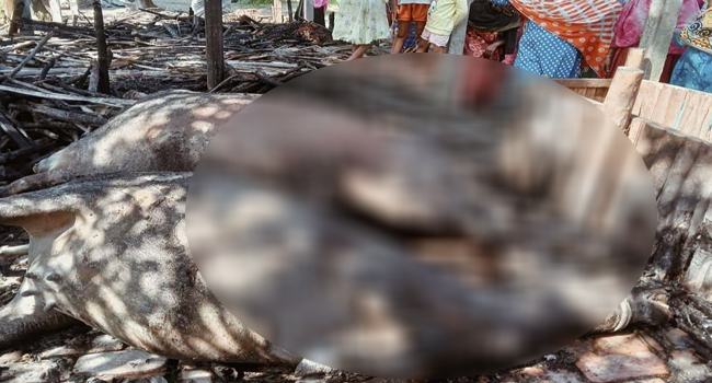 ভুরুঙ্গামারীতে খামারে অগ্নিকাণ্ডে ১০ লাখ টাকার ক্ষতি