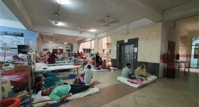 ডেঙ্গুর নতুন উপসর্গ, মৃত্যু ১০০ ছাড়ালো : চাপে হাসপাতালগুলো