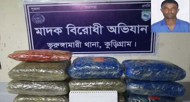 ভূরুঙ্গামারীতে ১৫ কেজি গাঁজাসহ মাদককারবারি গ্রেফতার