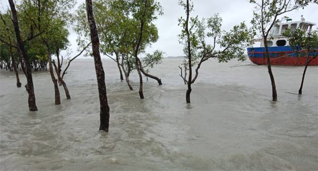 সিত্রাংয়ের প্রভাবে সাতক্ষীরায় টানা বৃষ্টি : আশ্রয়কেন্দ্রে যেতে মাইকিং