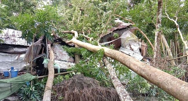 ঘূর্ণিঝড় সিত্রাংয়ে ঝালকাঠিতে ব্যাপক ক্ষতি