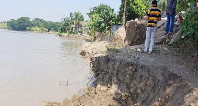 মুন্সীগঞ্জের কাইচাইল গ্রামে ৩৩ বসতভিটা বিলীন