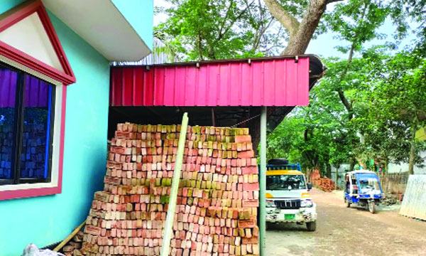 সিংগাইরে প্রভাবশালীরা গিলে খাচ্ছে সরকারি রাস্তা ও গাছ