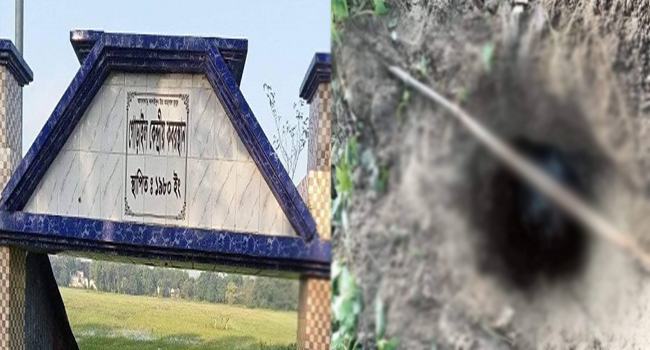 মির্জাপুরে কবরস্থান থেকে কঙ্কাল চুরি