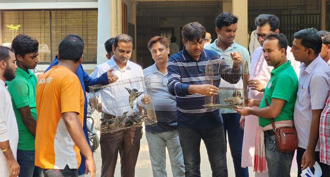 অর্ধশত পাখির নতুন জীবন, মুচলেকায় ছাড়া পেলেন ২ শিকারি
