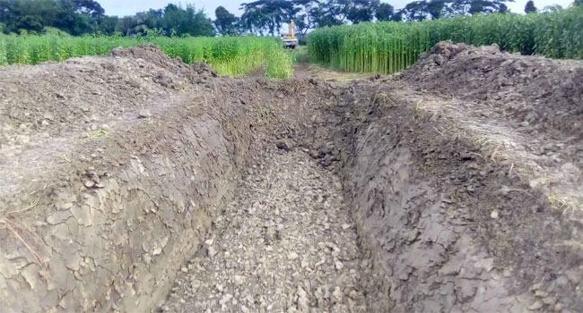 শৈলকুপায় খালের মাটি কাটার অপরাধে ইউপি সদস্যকে জরিমানা