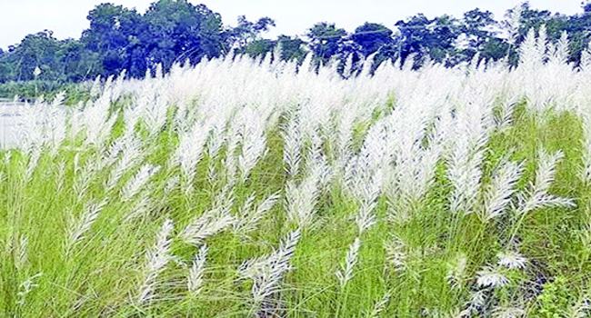 পানি ও বাস্তুতন্ত্র : পর্ব-২