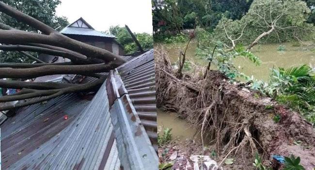 সিত্রাংয়ের ৩ দিন পরও বিদ্যুৎহীন লালমোহনবাসী