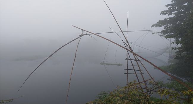 ঘন কুয়াশায় ঢেকে গেছে টাঙ্গাইলের মির্জাপুর
