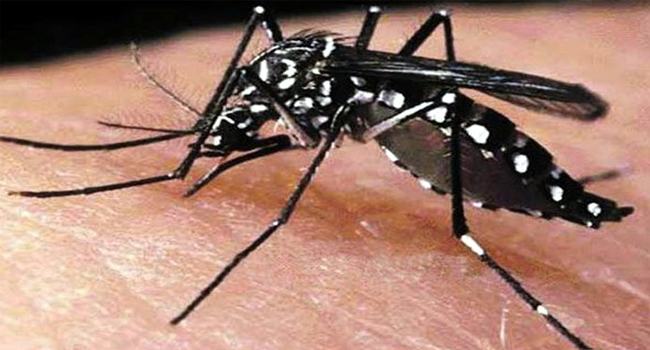 ১ দিনে হাজার ছাড়াল ডেঙ্গু রোগী, মৃত্যু ২