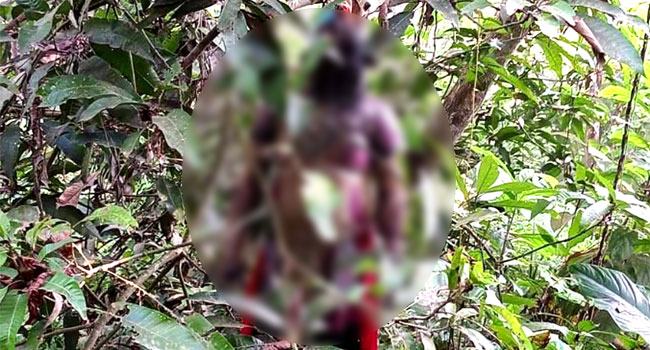 আম গাছ থেকে অন্তঃসত্ত্বা নারীর অর্ধগলিত লাশ উদ্ধার