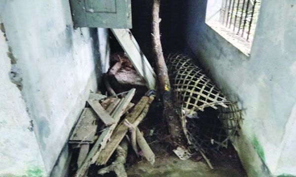 দুর্গাপুর ইউনিয়ন স্বাস্থ্যকেন্দ্র বেহাল স্টাফ কোয়ার্টারে মাদক আড্ডা