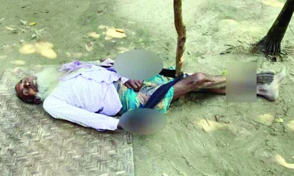 বৃদ্ধকে গাছে বেঁধে নির্যাতন