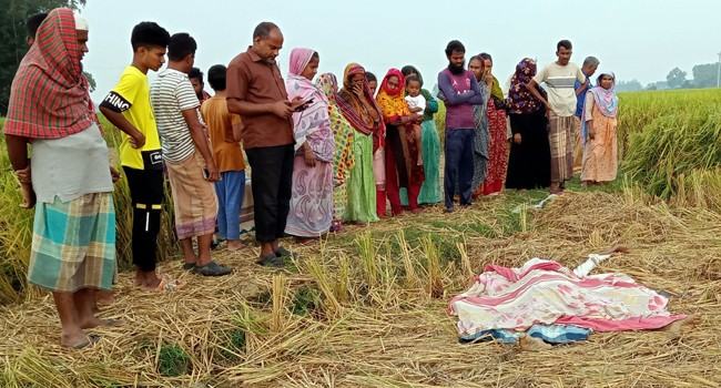 রাণীনগরে ধান ক্ষেত থেকে কৃষকের ক্ষতবিক্ষত লাশ উদ্ধার