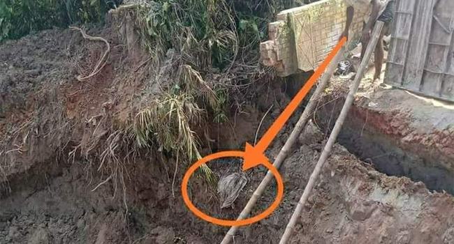 ২০ বছর পরও অক্ষত সুফির লাশ!