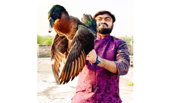 গুরুদাসপুরে বিরল প্রজাতির পাখি উদ্ধার