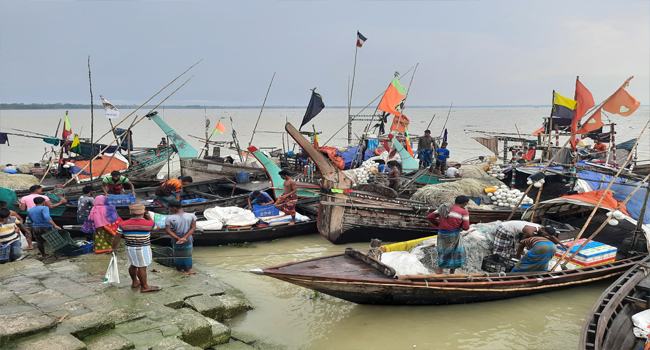 যে কারণে ইলিশ নেই ভোলার মেঘনা-তেঁতুলিয়ায়