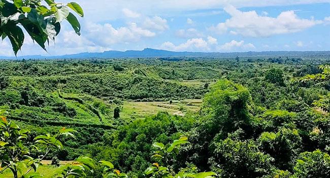তুমব্রু সীমান্তে সংঘর্ষ : ডিজিএফআই কর্মকর্তাসহ নিহত ২