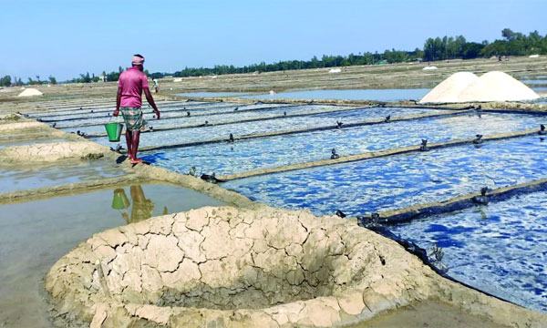 লবণ আমদানি চান না চাষি ও স্থানীয় ব্যবসায়ীরা