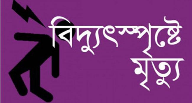 গাছের ডাল কাটতে গিয়ে বিদ্যুস্পৃষ্টে কৃষকের মৃত্যু