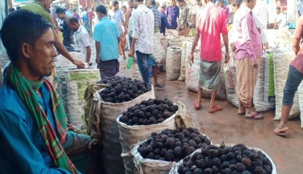 হবিগঞ্জের হাওরে বেড়েছে শালুক
