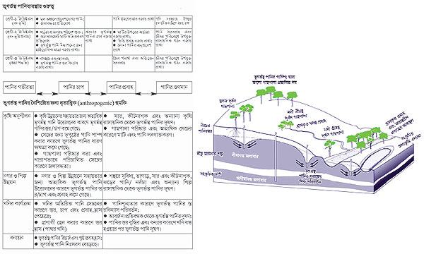 জলবায়ু পরিবর্তন ও বাস্তুতন্ত্র : পর্ব-৩