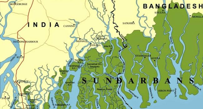 উপেক্ষিত উপকূলীয় অর্থনীতি প্রধান প্রসঙ্গ সুন্দরবন