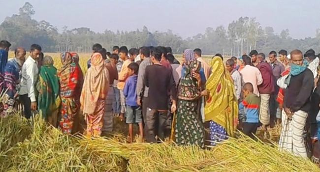 মান্দায় ধানক্ষেত থেকে বৃদ্ধের লাশ উদ্ধার