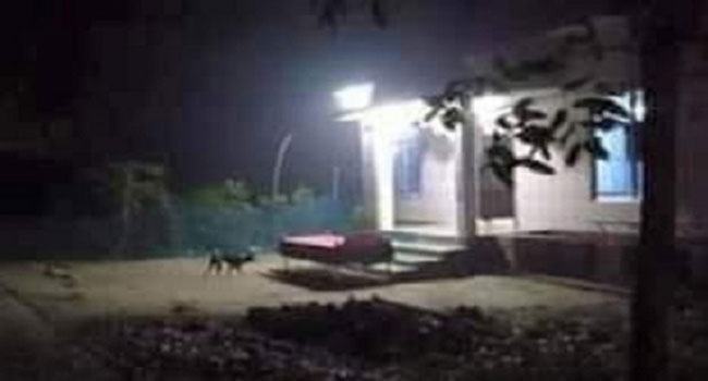 ৩ দিন ধরে ঘরের ভেতরে ভাইয়ের লাশ পাহারা দিচ্ছিলেন দুই বোন, মর্মান্তিক ঘটনা
