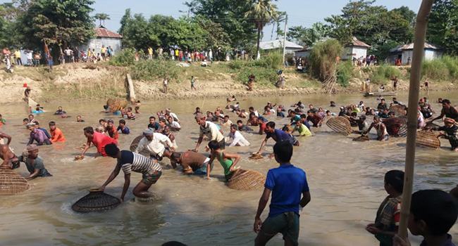 জুড়ীর কন্টিনালা নদীতে পলো বাওয়া উৎসব