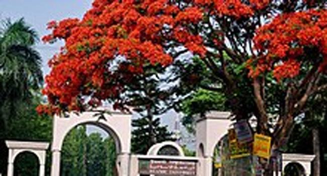 ক্লাসের ব্রেঞ্চে বসা নিয়ে ইবি শিক্ষার্থীকে ছাত্রলীগকর্মীর মারধর