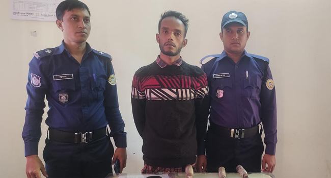 নাজিরপুরে দেশীয় অস্ত্রসহ আন্ত:ডাকাত দলের ২ সদস্য আটক