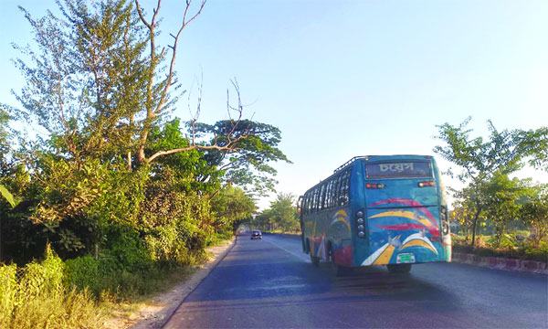 মহাসড়কের দু’পাশে সারি সারি ঝুঁকিপূর্ণ মরা গাছ
