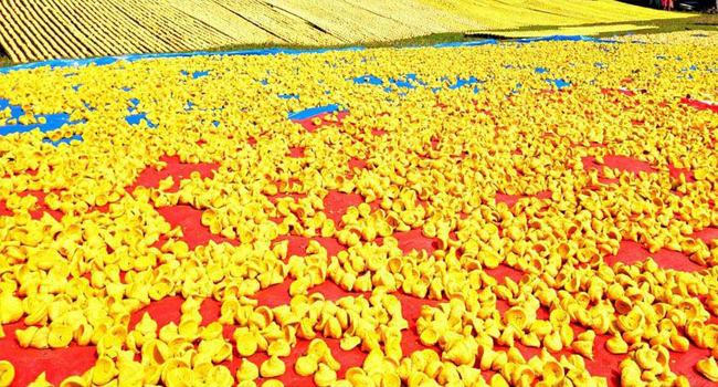 পাবনার কুমড়া বড়ির কদর দেশে-বিদেশে