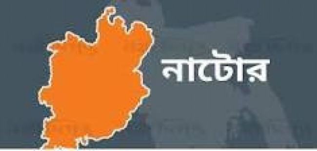 নাটোরে বিএনপির বিক্ষোভ সমাবেশ