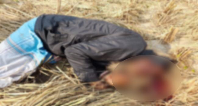 বিরামপুরে বর্গা নেয়া জমি থেকে কৃষকের থেঁতলানো লাশ উদ্ধার