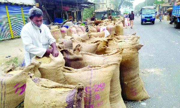 গুদামে ধান চাল দিতে আগ্রহী নন মিরসরাইয়ের কৃষকরা
