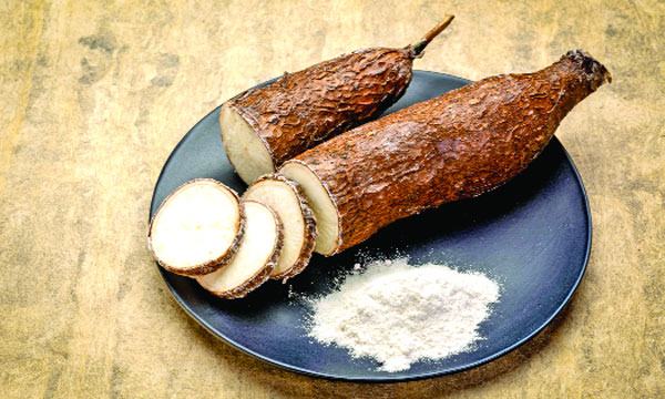 কাসাভা কথা