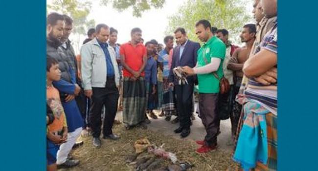 সিংড়ায় পাখি শিকারে ৫ হাজার টাকা জরিমানা