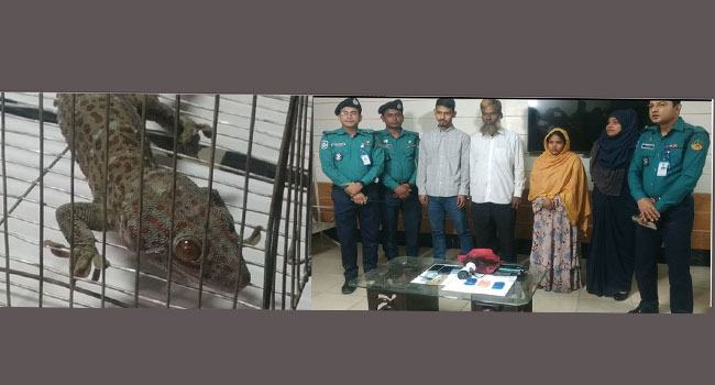 গাজীপুরে তক্ষক ও ইয়াবাসহ ৬ সদস্য গ্রেফতার