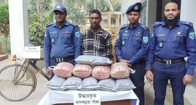 ফুলবাড়ীতে ২৬ কেজি গাঁজাসহ গ্রেফতার ১