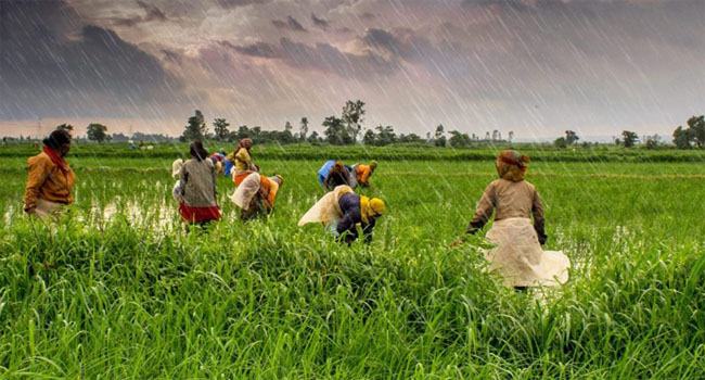 কৃষকের কোমরে দড়ি, লজ্জিত জাতি